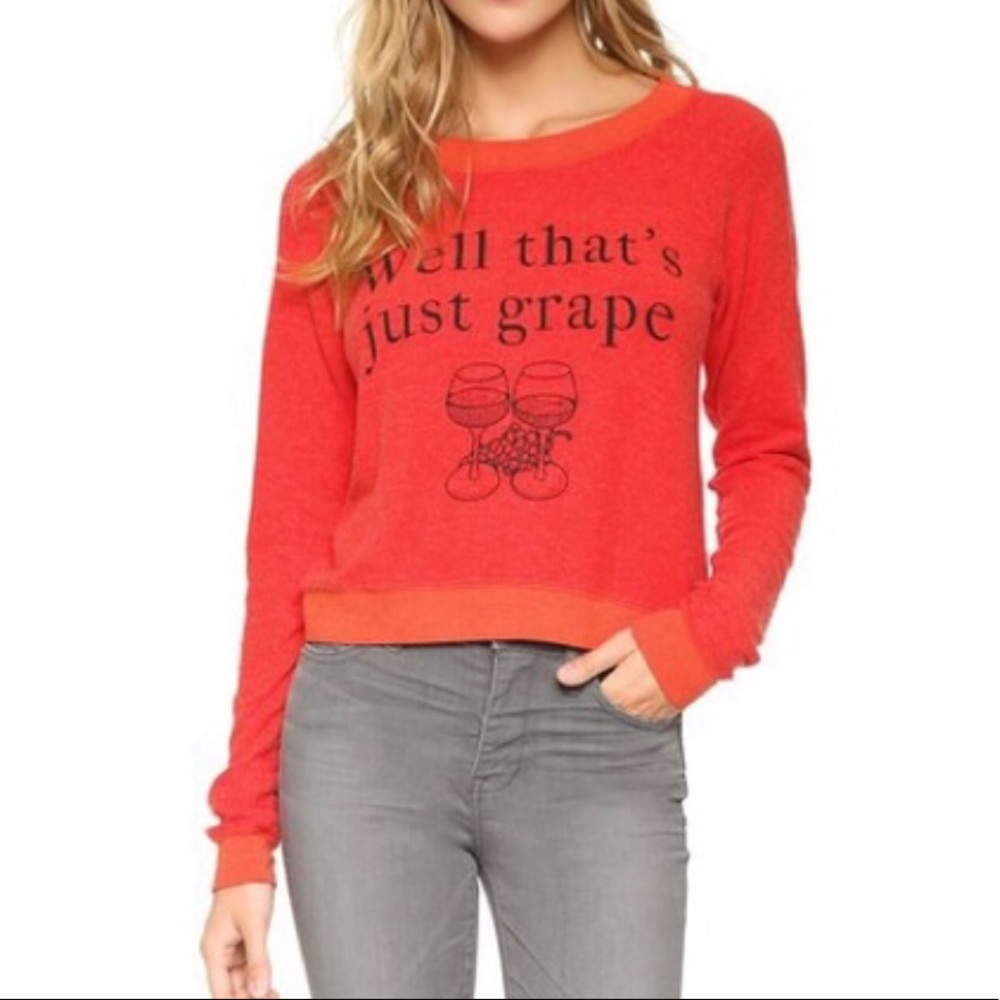 NWT Wildfox “Well that’s just grape” S red sweater